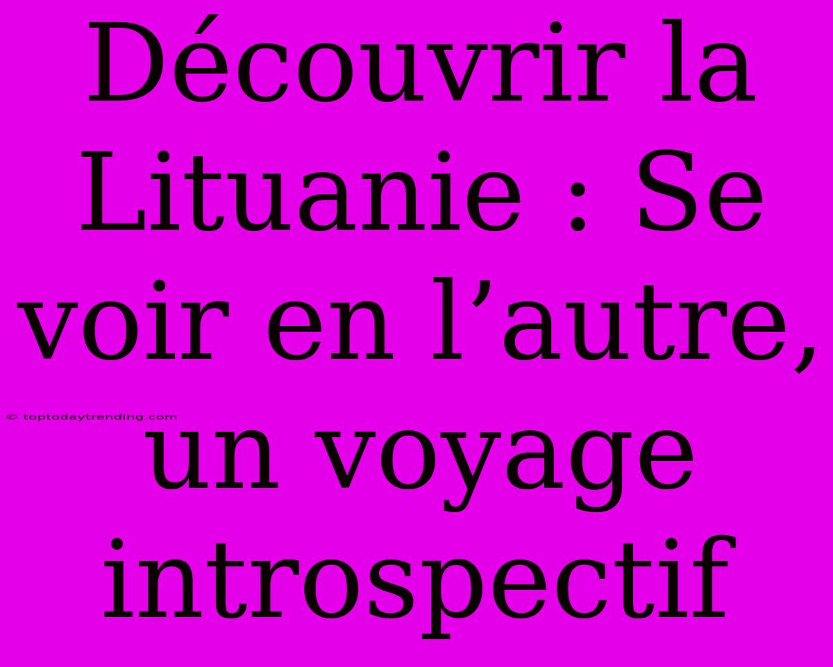 Découvrir La Lituanie : Se Voir En L’autre, Un Voyage Introspectif