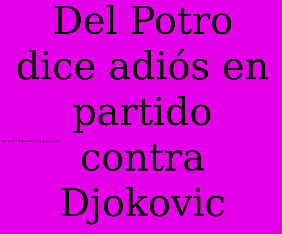 Del Potro Dice Adiós En Partido Contra Djokovic