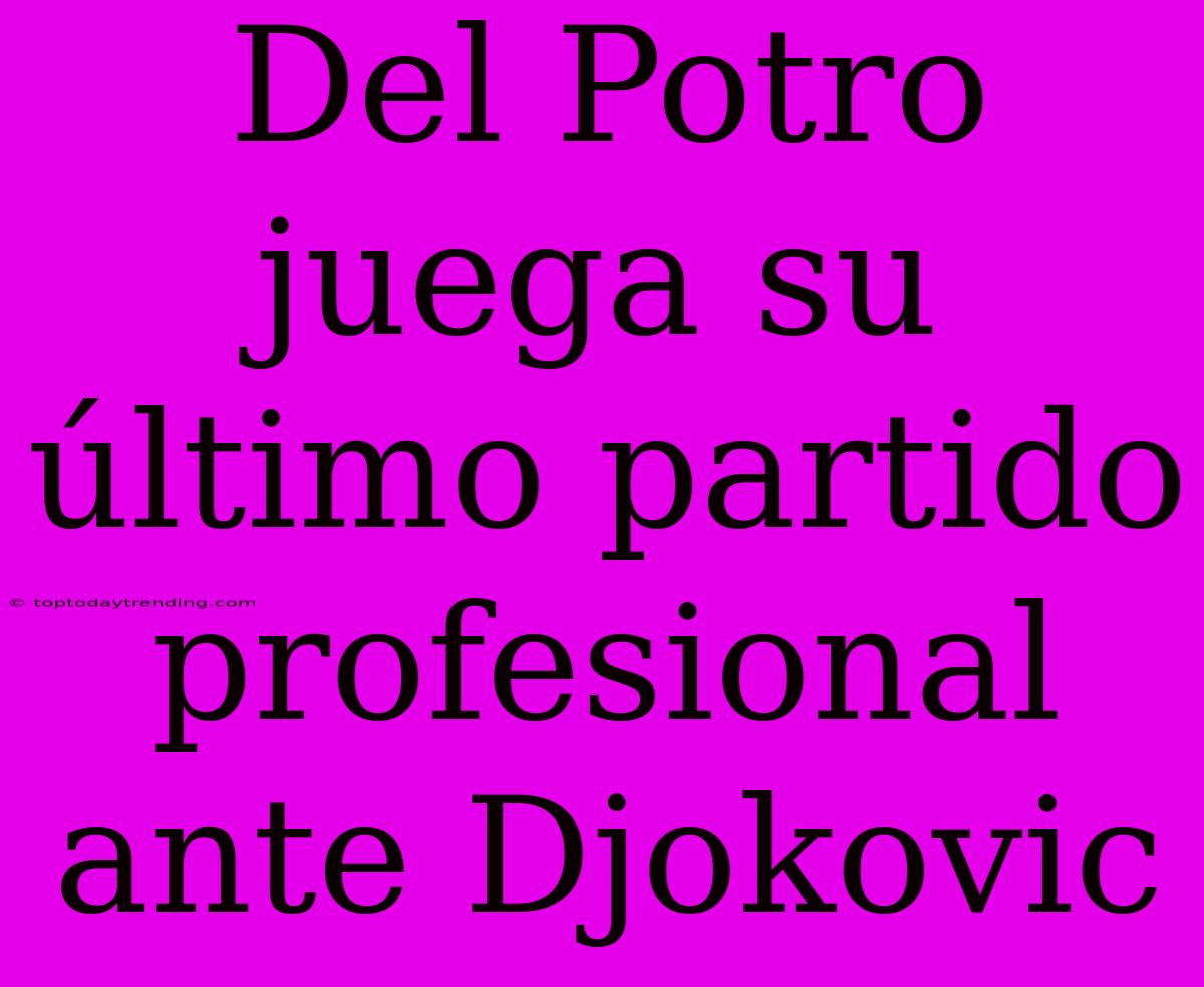 Del Potro Juega Su Último Partido Profesional Ante Djokovic