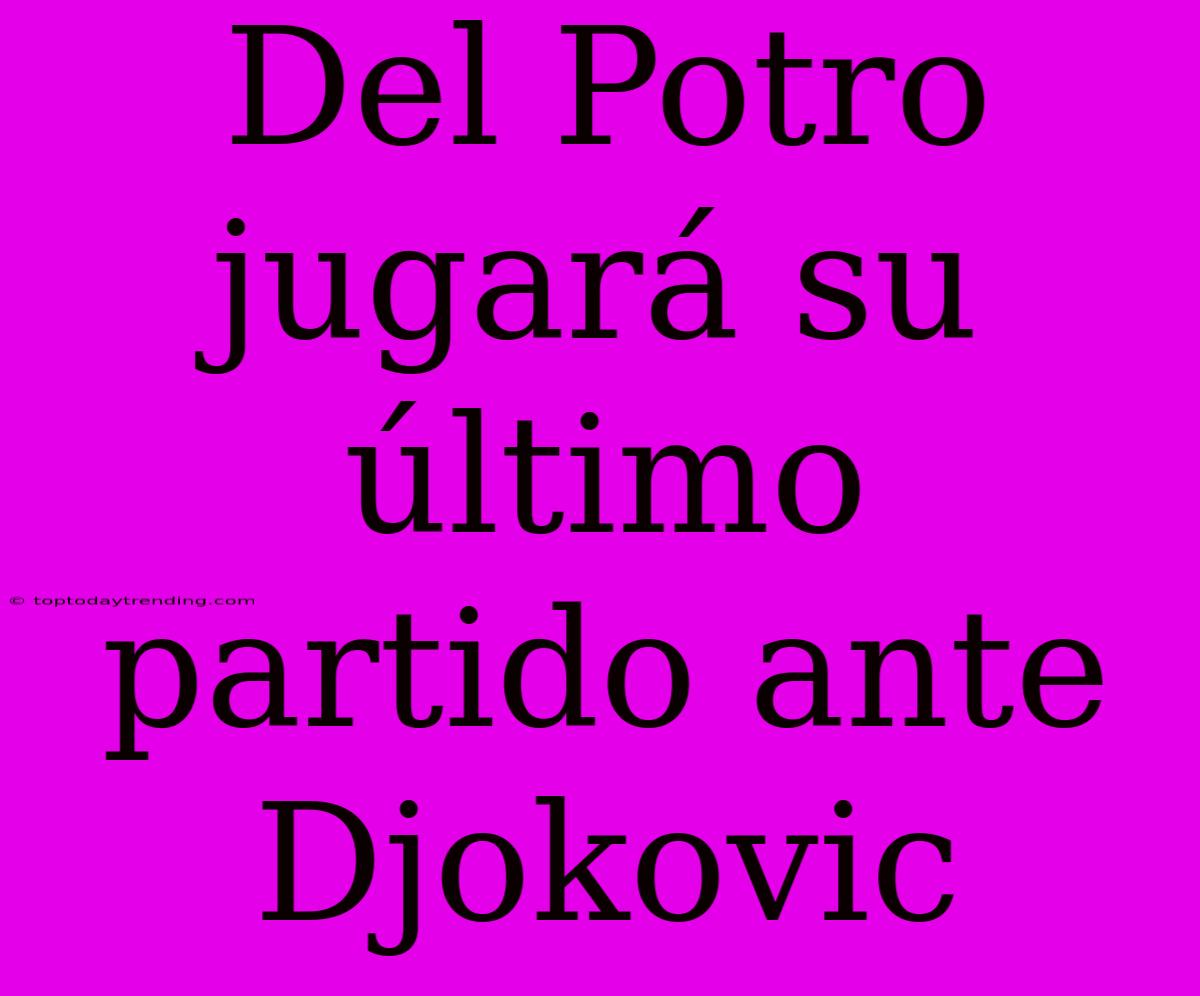 Del Potro Jugará Su Último Partido Ante Djokovic