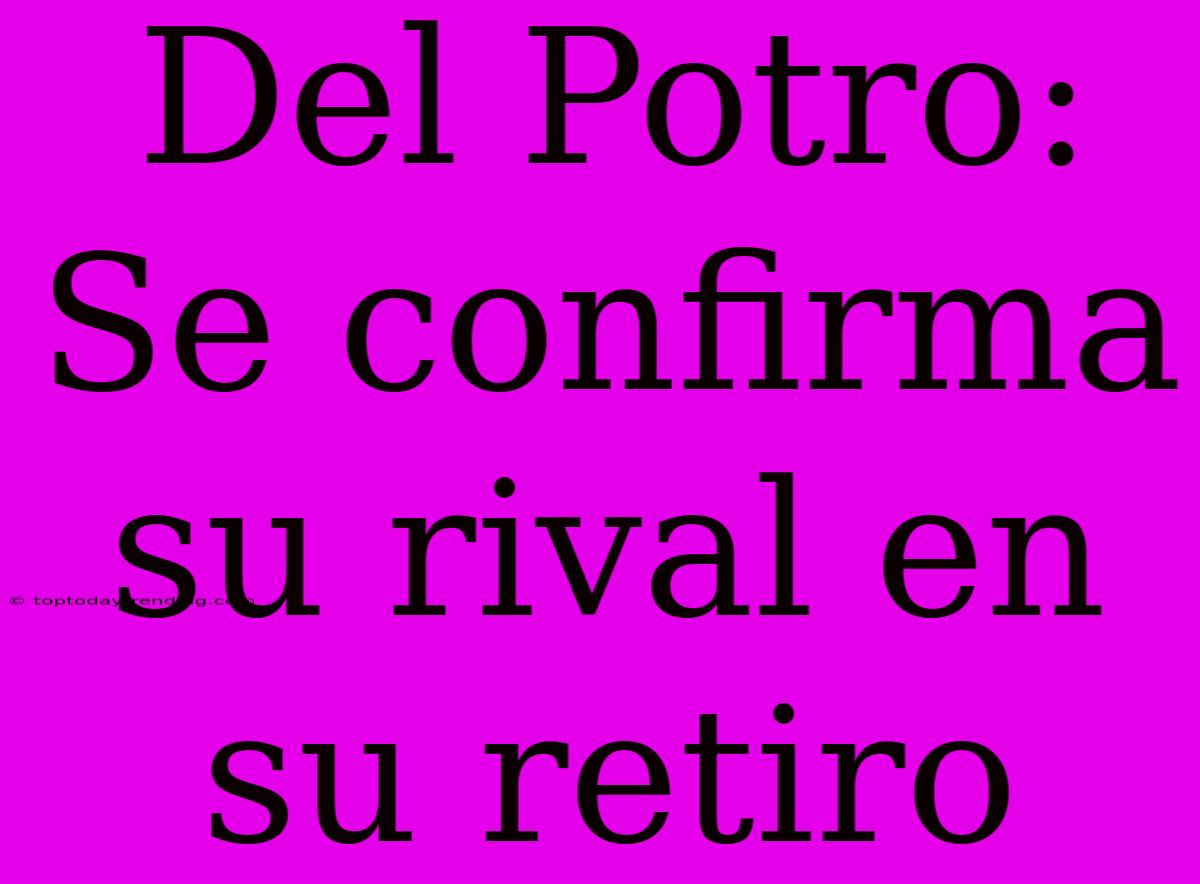 Del Potro: Se Confirma Su Rival En Su Retiro