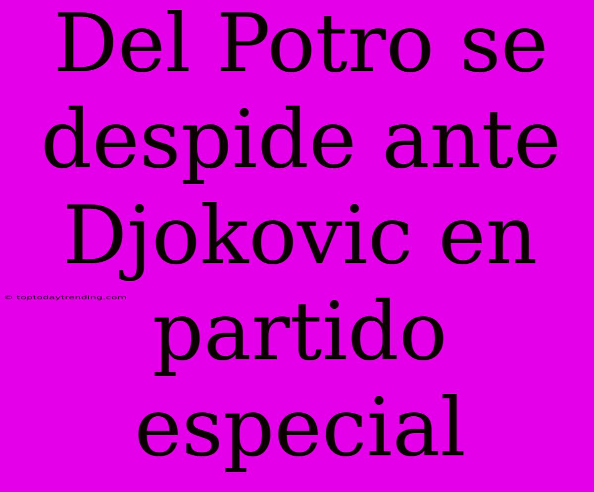 Del Potro Se Despide Ante Djokovic En Partido Especial