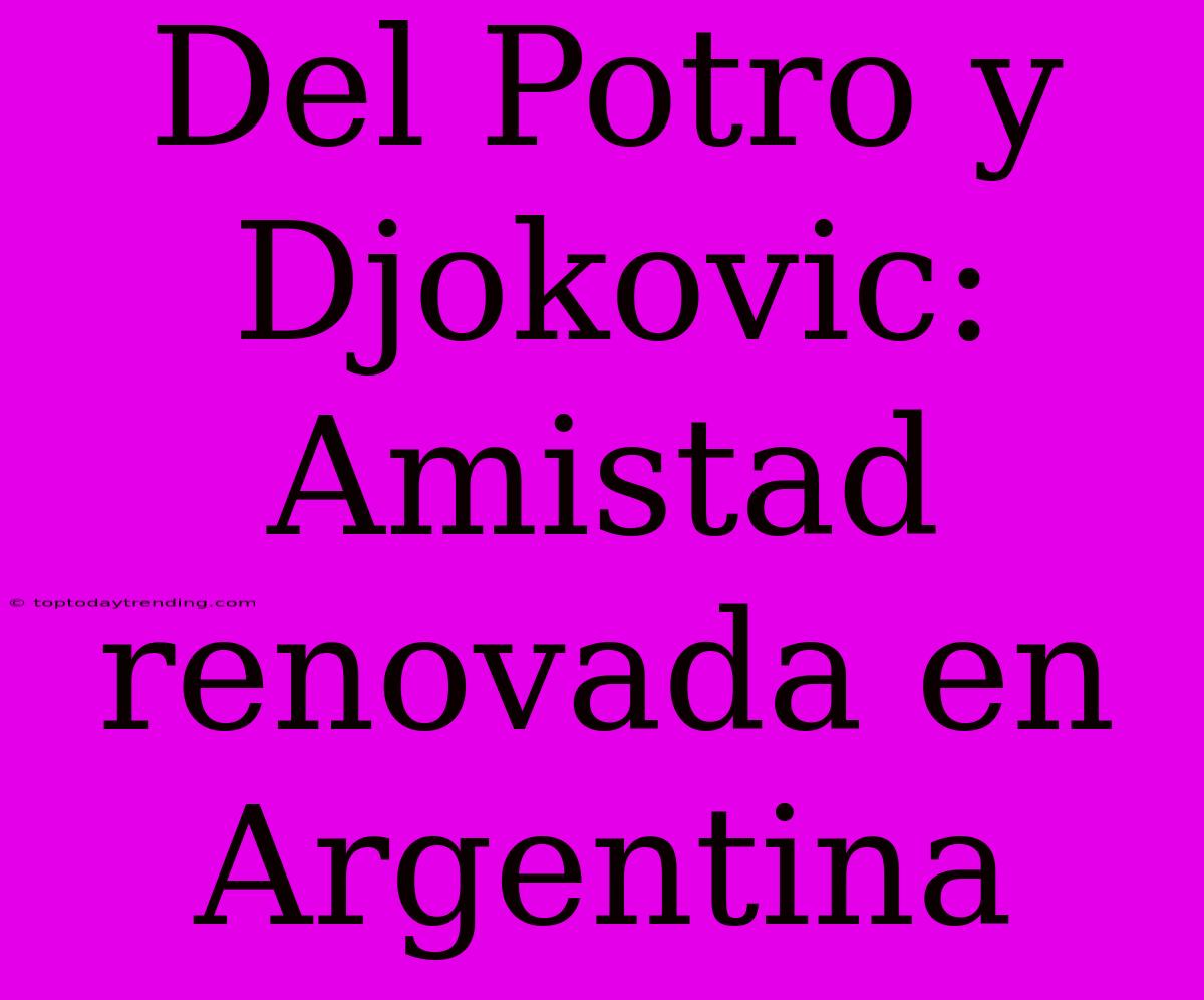 Del Potro Y Djokovic: Amistad Renovada En Argentina