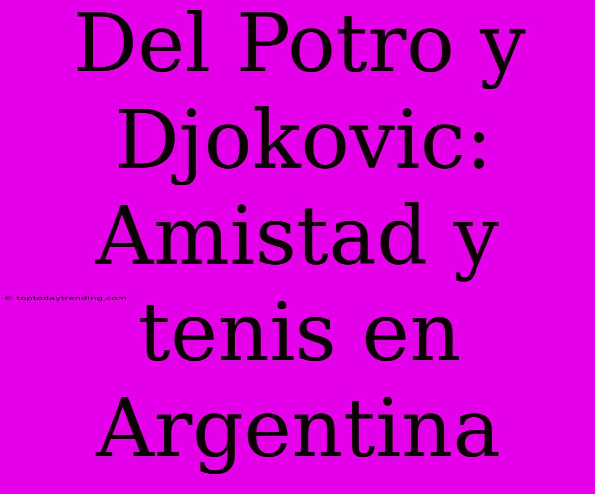 Del Potro Y Djokovic: Amistad Y Tenis En Argentina