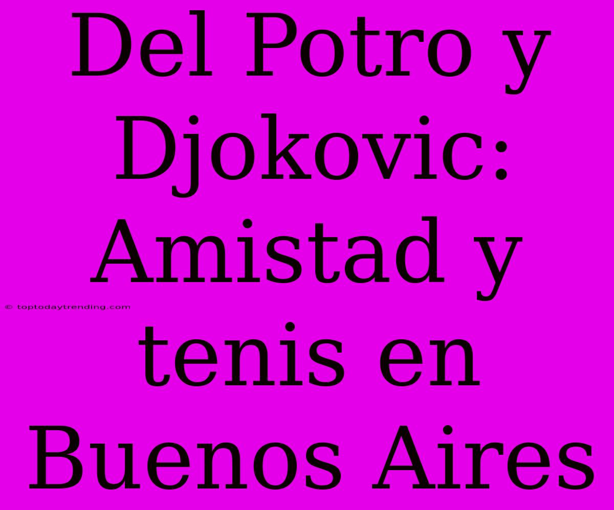 Del Potro Y Djokovic: Amistad Y Tenis En Buenos Aires