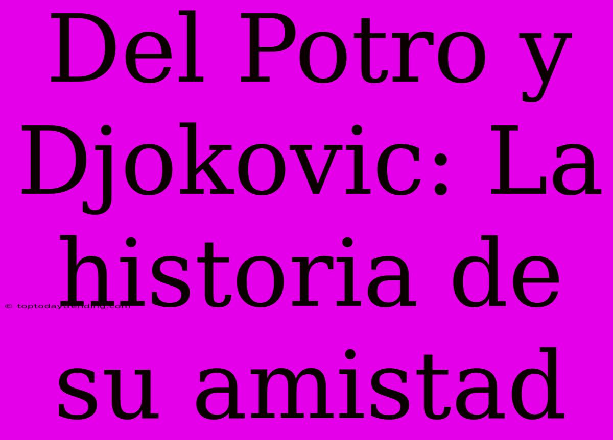 Del Potro Y Djokovic: La Historia De Su Amistad