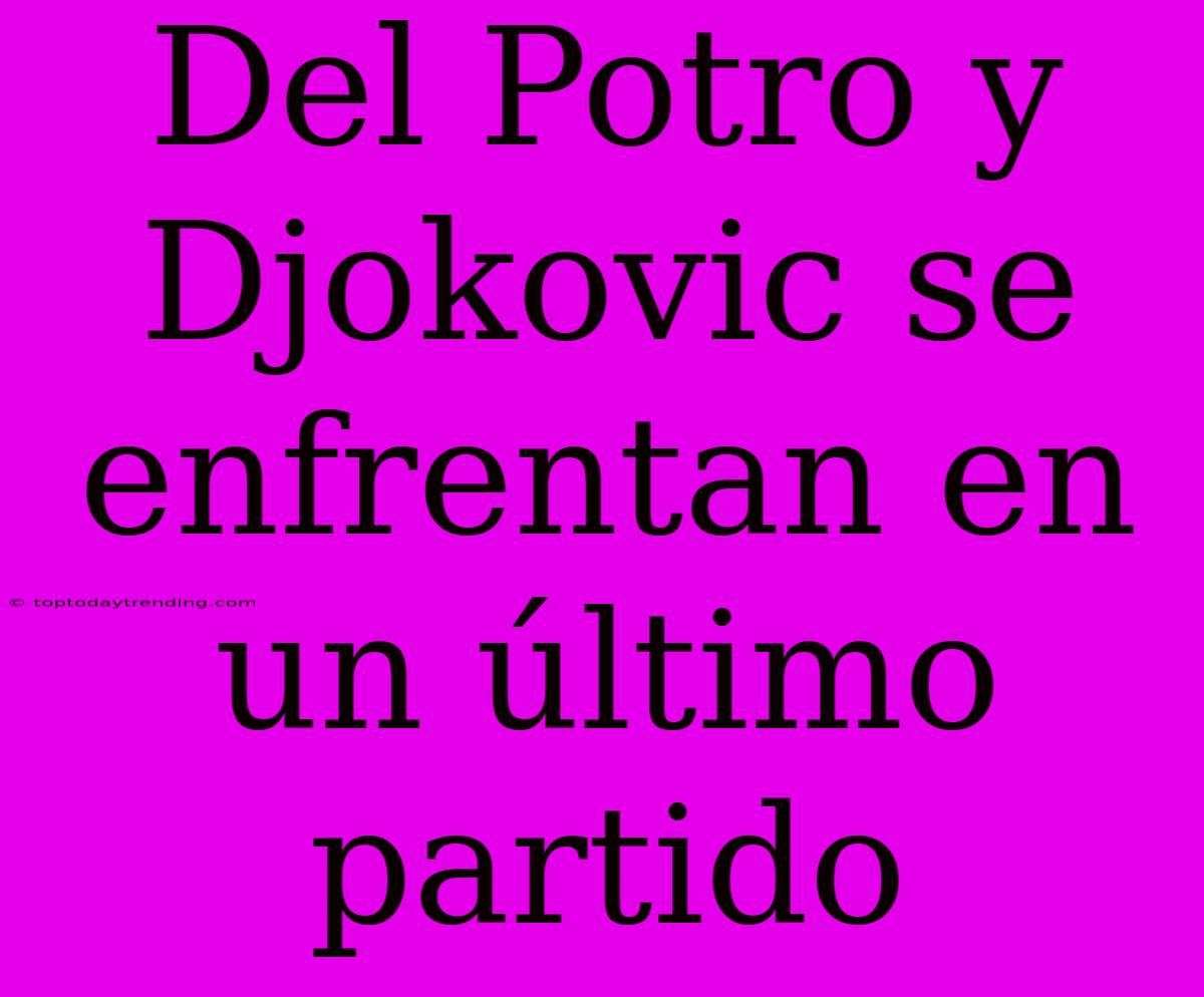 Del Potro Y Djokovic Se Enfrentan En Un Último Partido