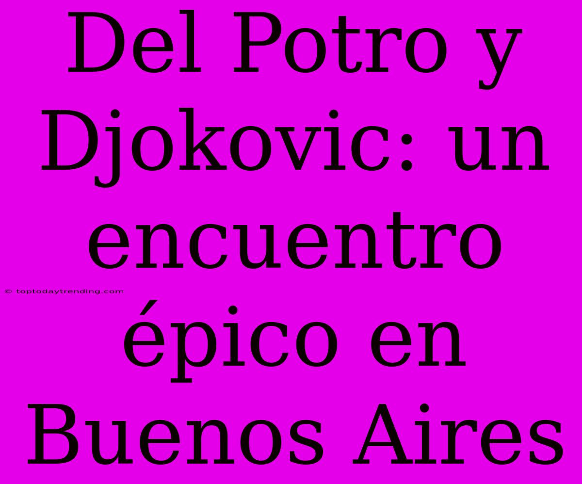 Del Potro Y Djokovic: Un Encuentro Épico En Buenos Aires