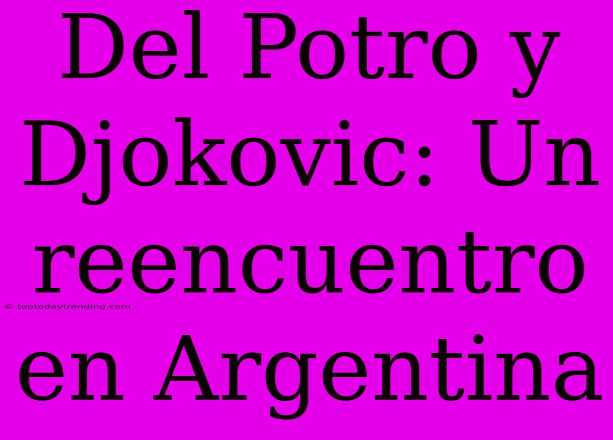 Del Potro Y Djokovic: Un Reencuentro En Argentina