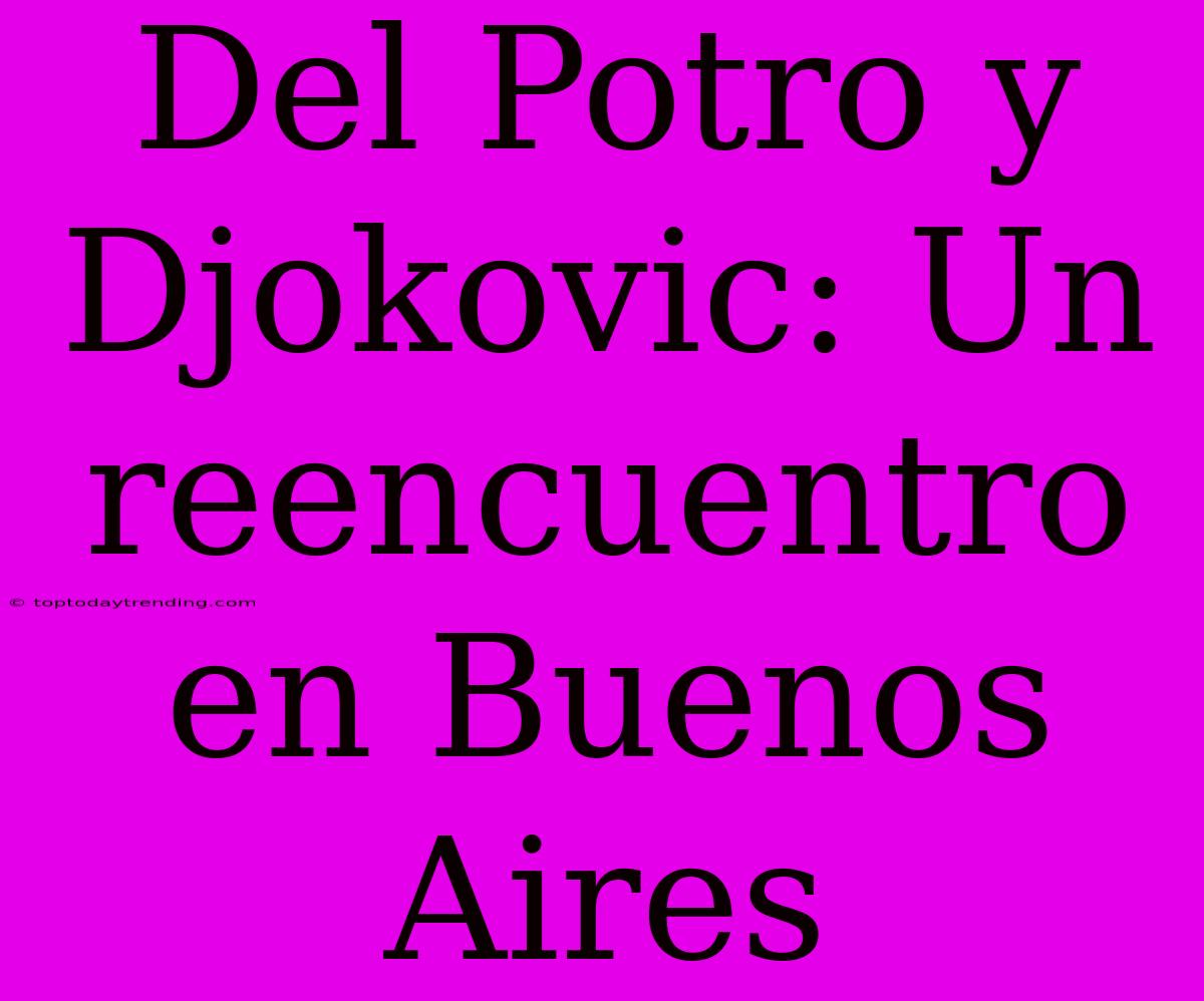 Del Potro Y Djokovic: Un Reencuentro En Buenos Aires