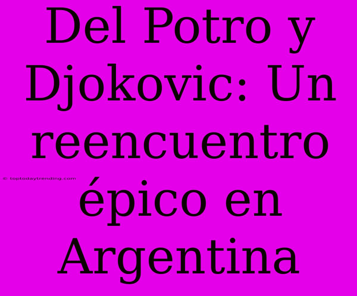 Del Potro Y Djokovic: Un Reencuentro Épico En Argentina