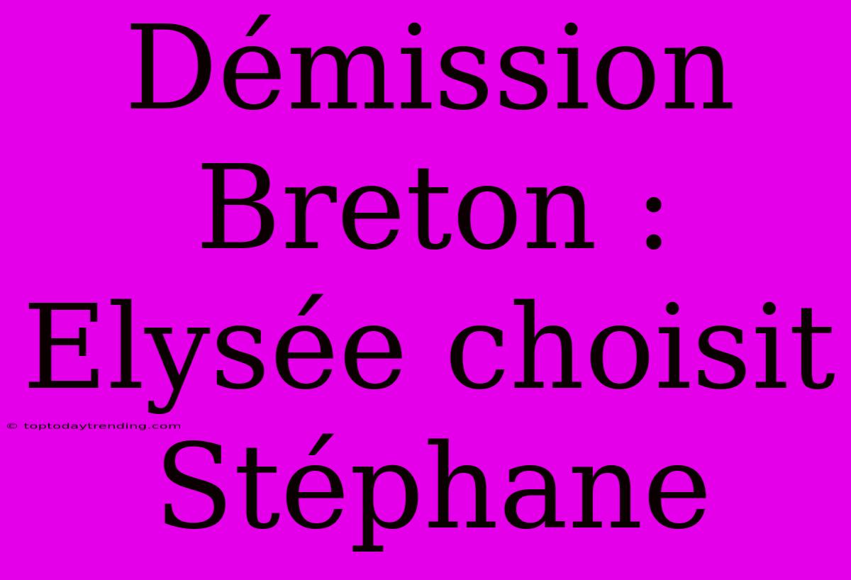 Démission Breton : Elysée Choisit Stéphane