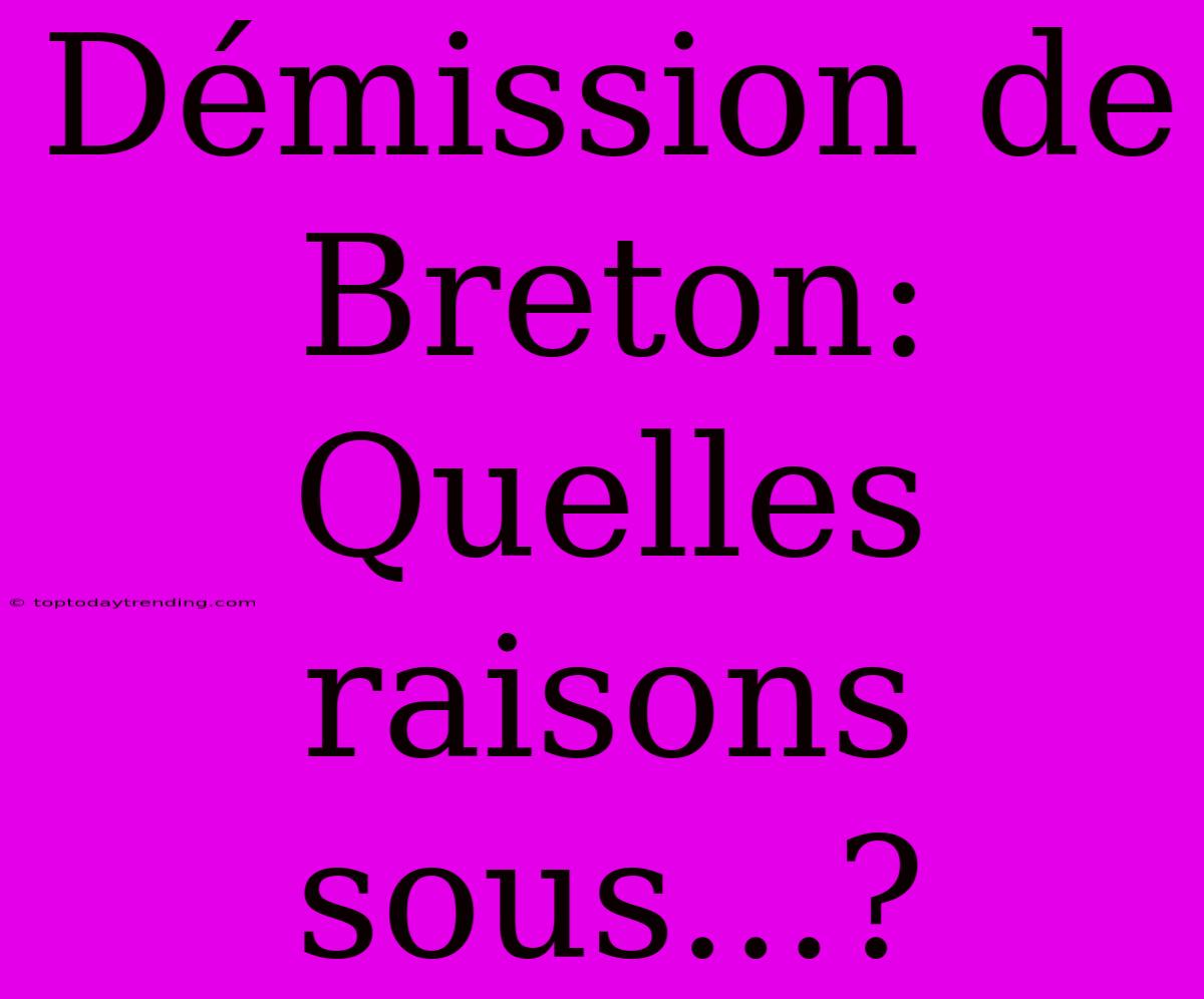 Démission De Breton: Quelles Raisons Sous...?