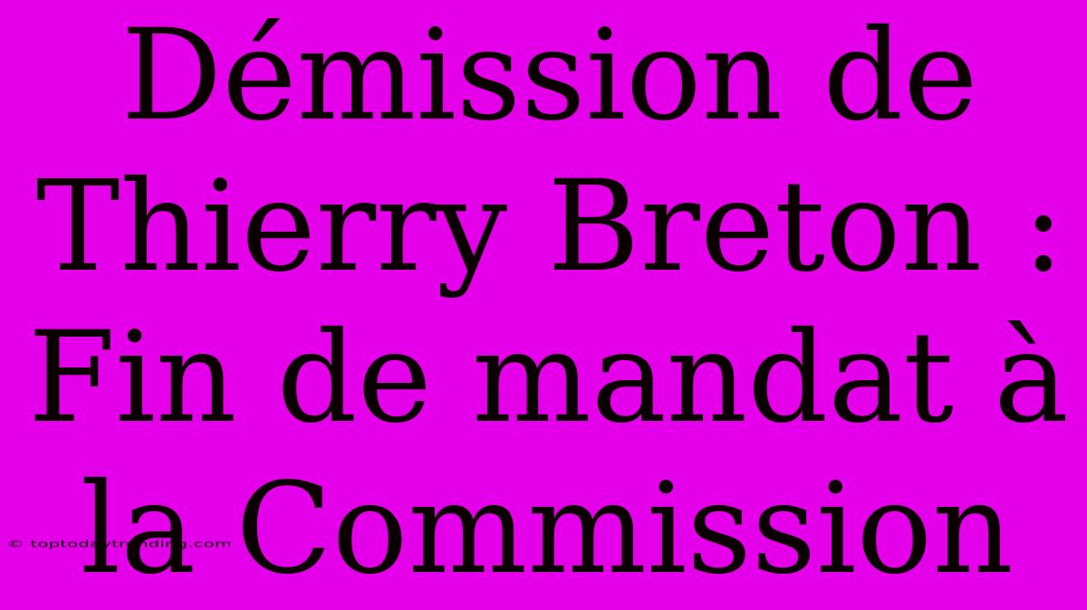 Démission De Thierry Breton : Fin De Mandat À La Commission