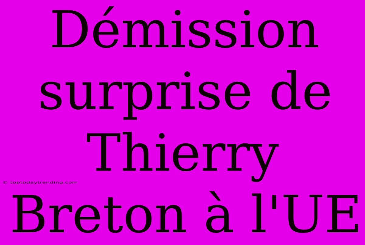 Démission Surprise De Thierry Breton À L'UE