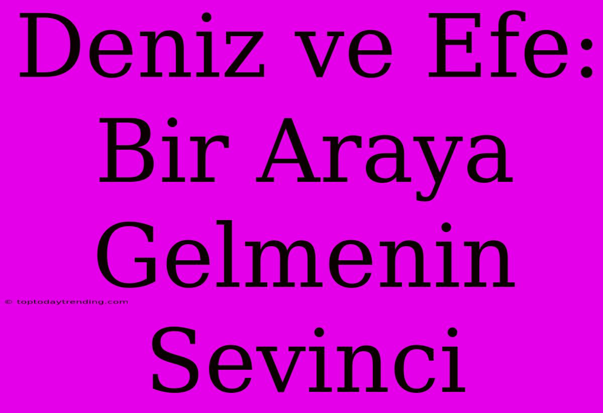 Deniz Ve Efe: Bir Araya Gelmenin Sevinci