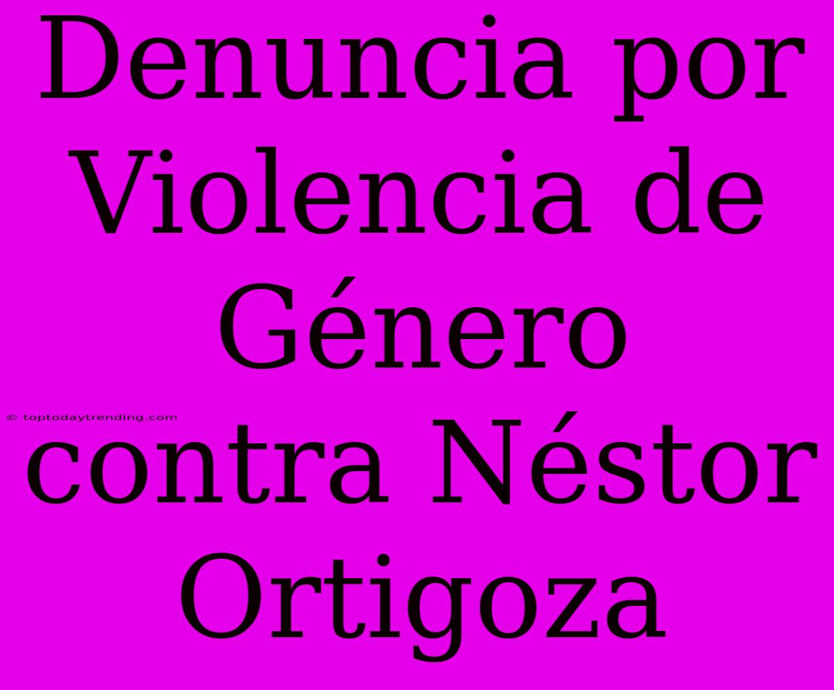 Denuncia Por Violencia De Género Contra Néstor Ortigoza