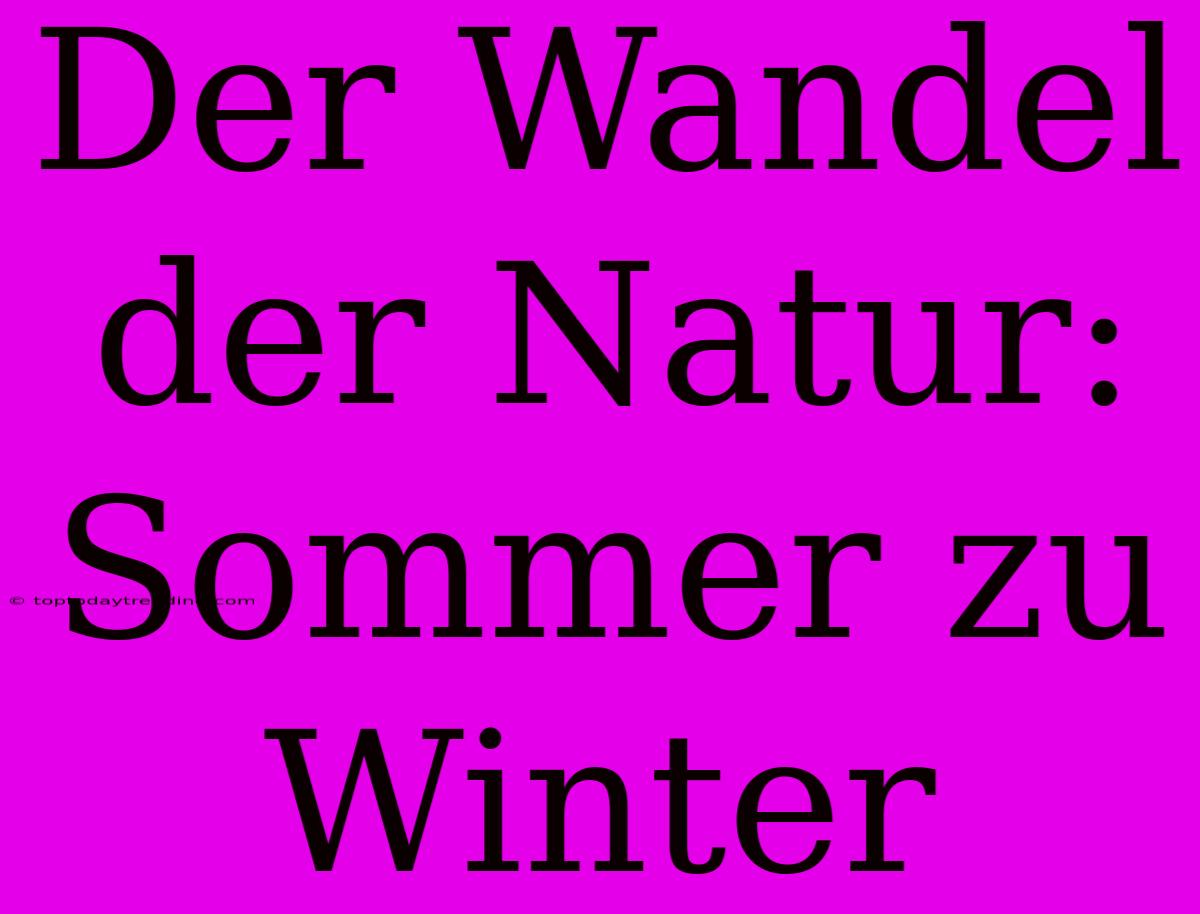 Der Wandel Der Natur: Sommer Zu Winter