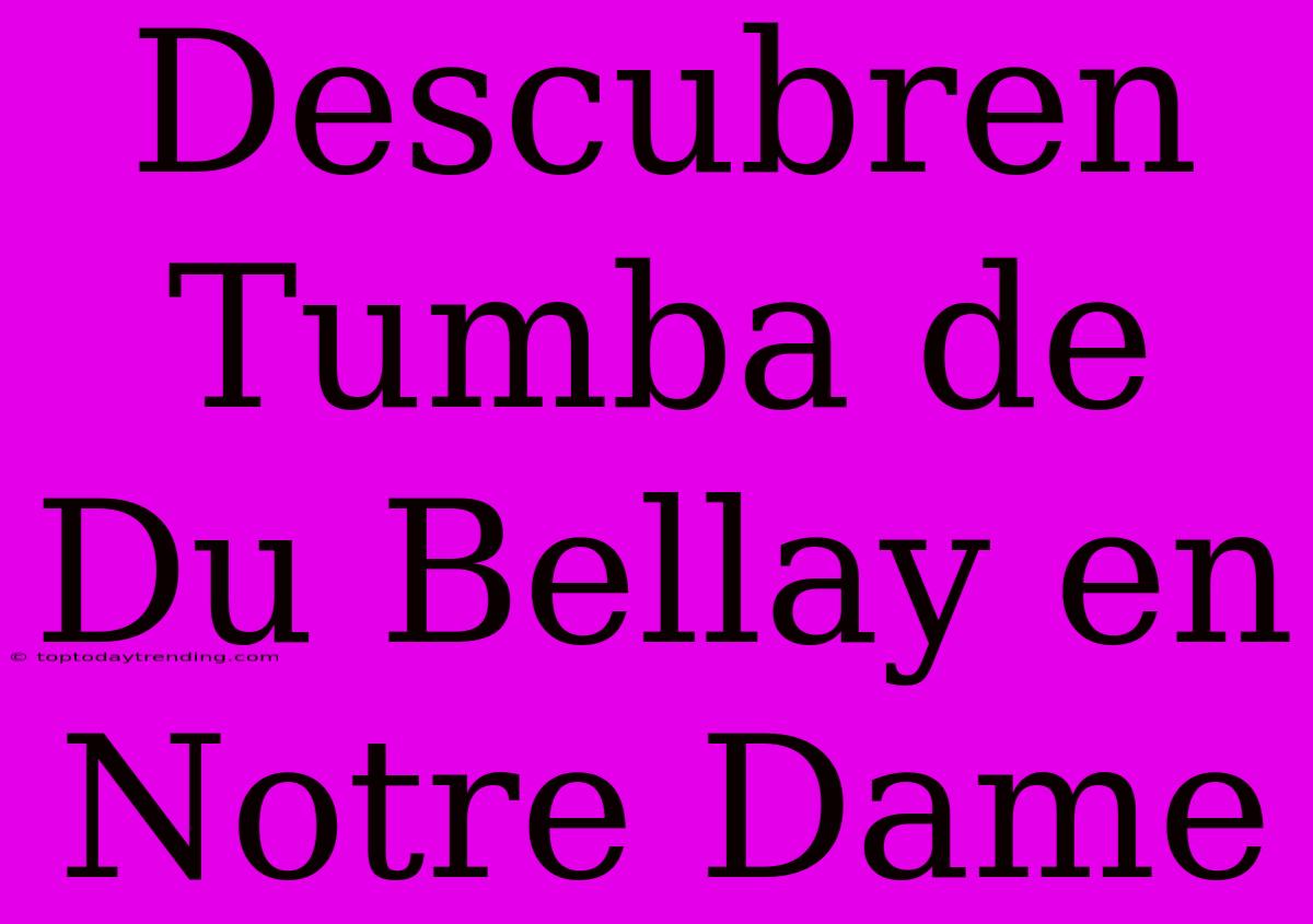 Descubren Tumba De Du Bellay En Notre Dame