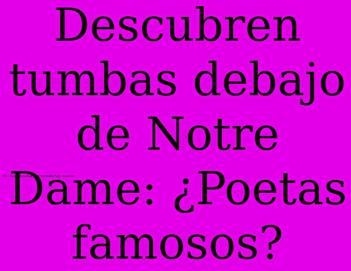 Descubren Tumbas Debajo De Notre Dame: ¿Poetas Famosos?