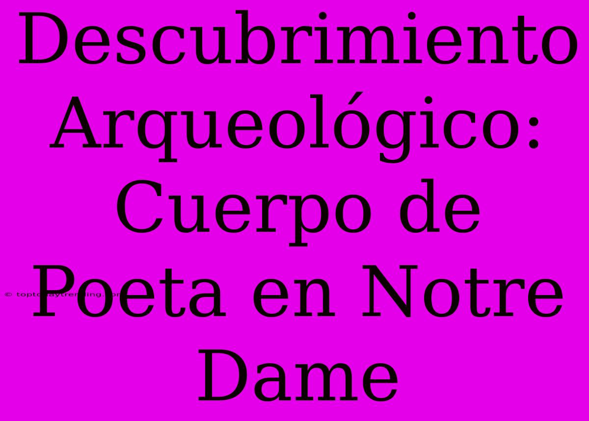 Descubrimiento Arqueológico: Cuerpo De Poeta En Notre Dame