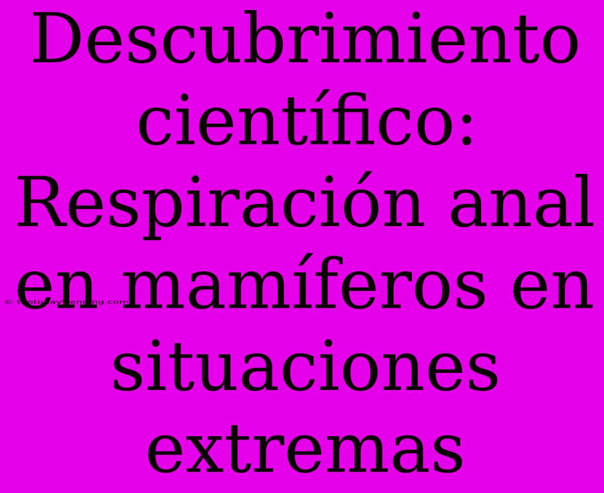 Descubrimiento Científico: Respiración Anal En Mamíferos En Situaciones Extremas