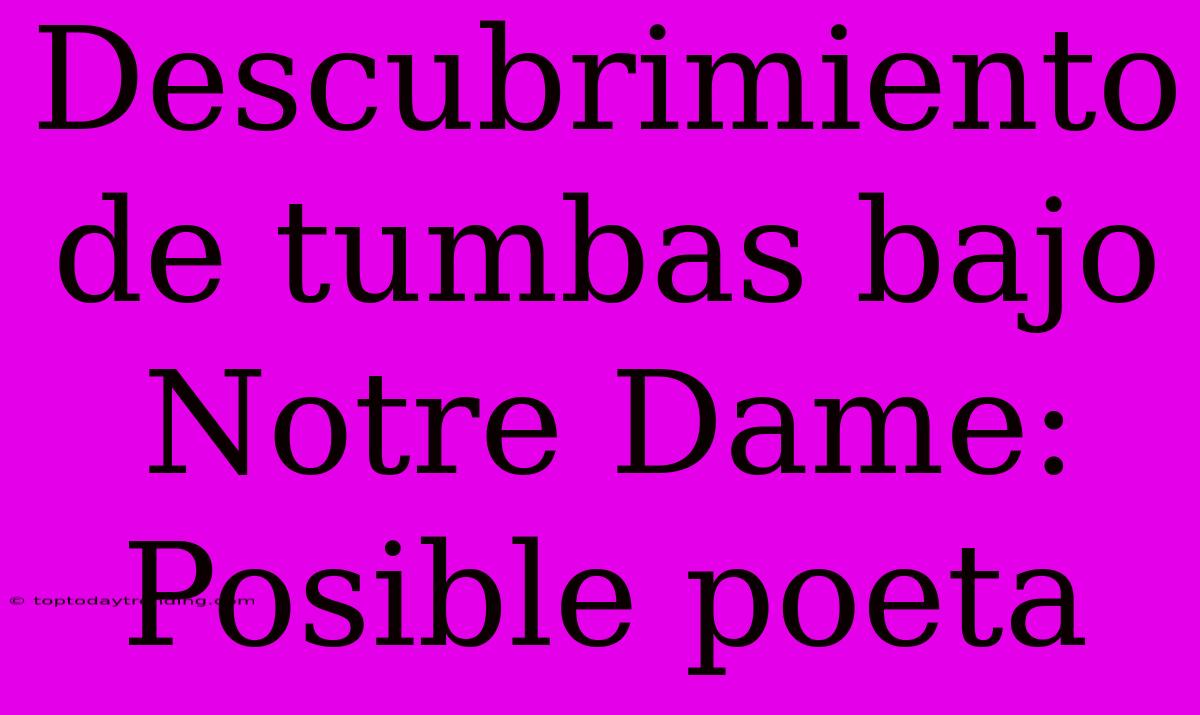 Descubrimiento De Tumbas Bajo Notre Dame: Posible Poeta