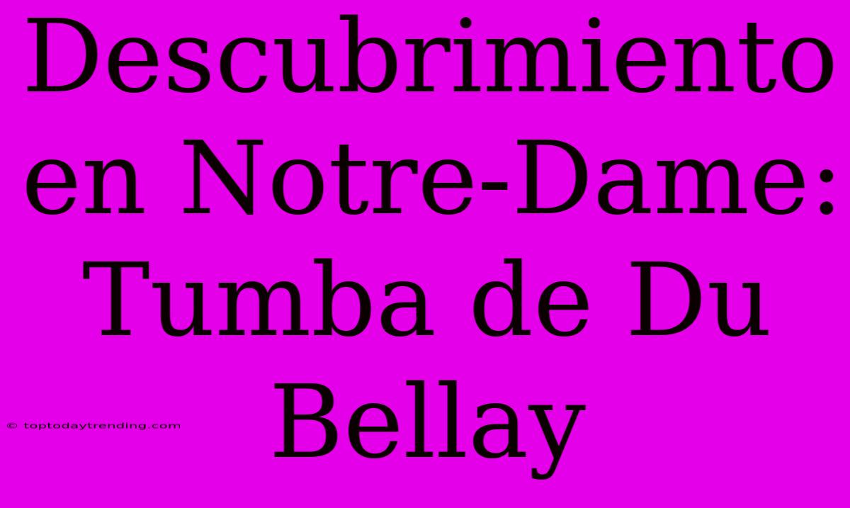 Descubrimiento En Notre-Dame: Tumba De Du Bellay