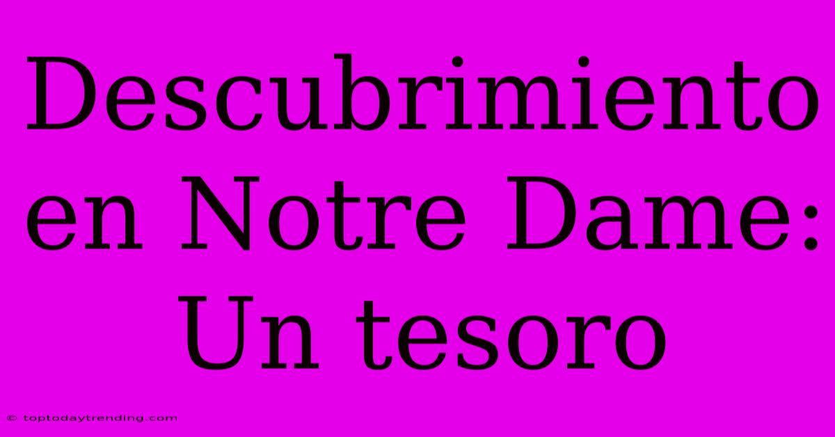 Descubrimiento En Notre Dame: Un Tesoro