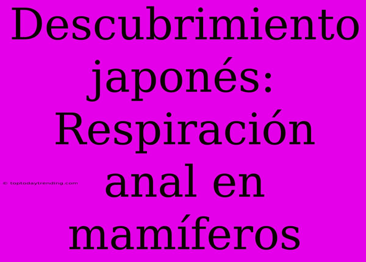 Descubrimiento Japonés: Respiración Anal En Mamíferos