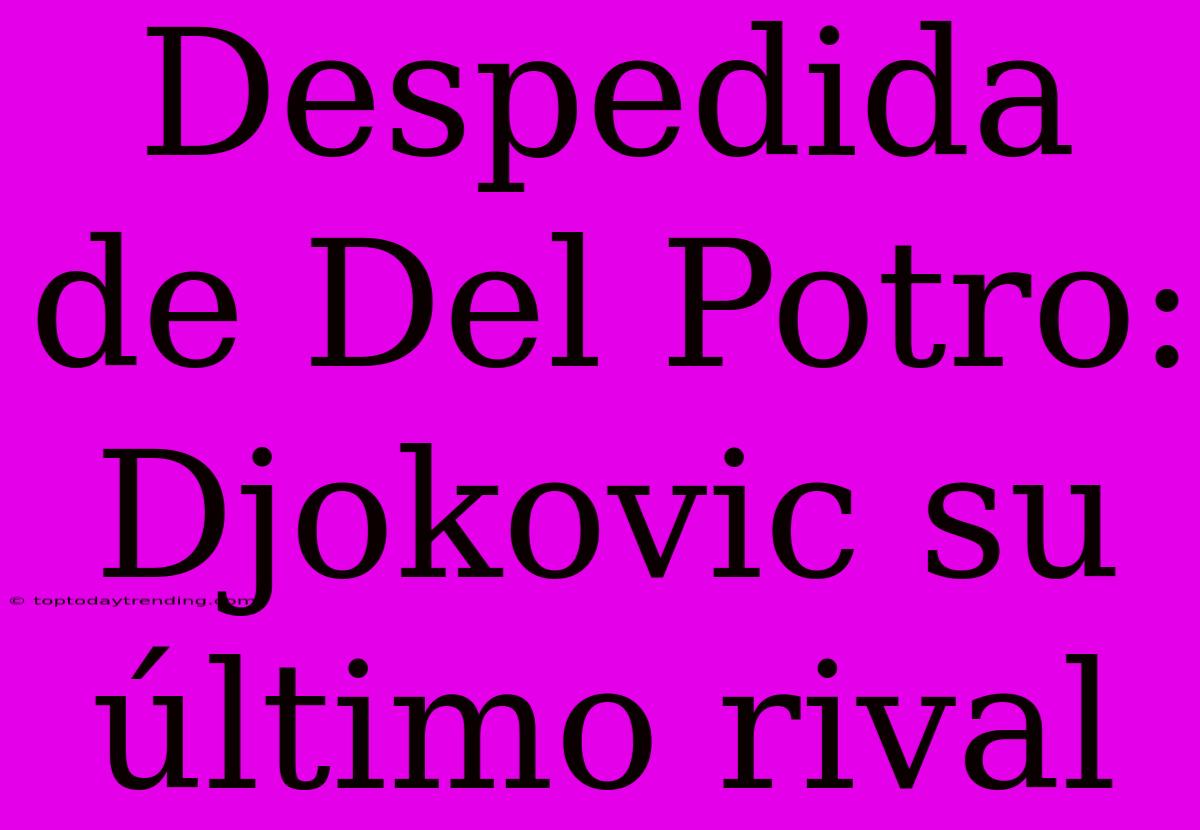 Despedida De Del Potro: Djokovic Su Último Rival