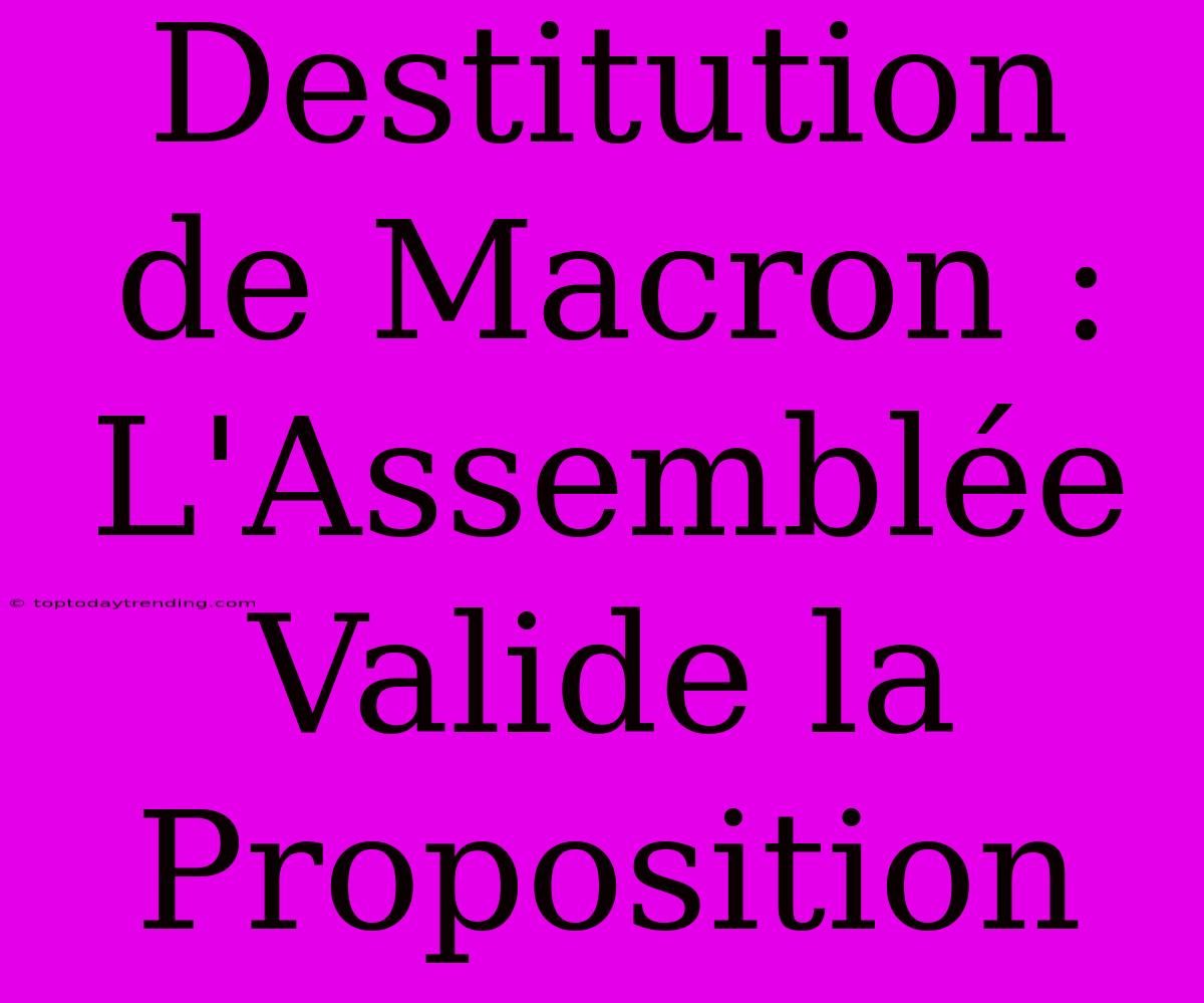 Destitution De Macron : L'Assemblée Valide La Proposition