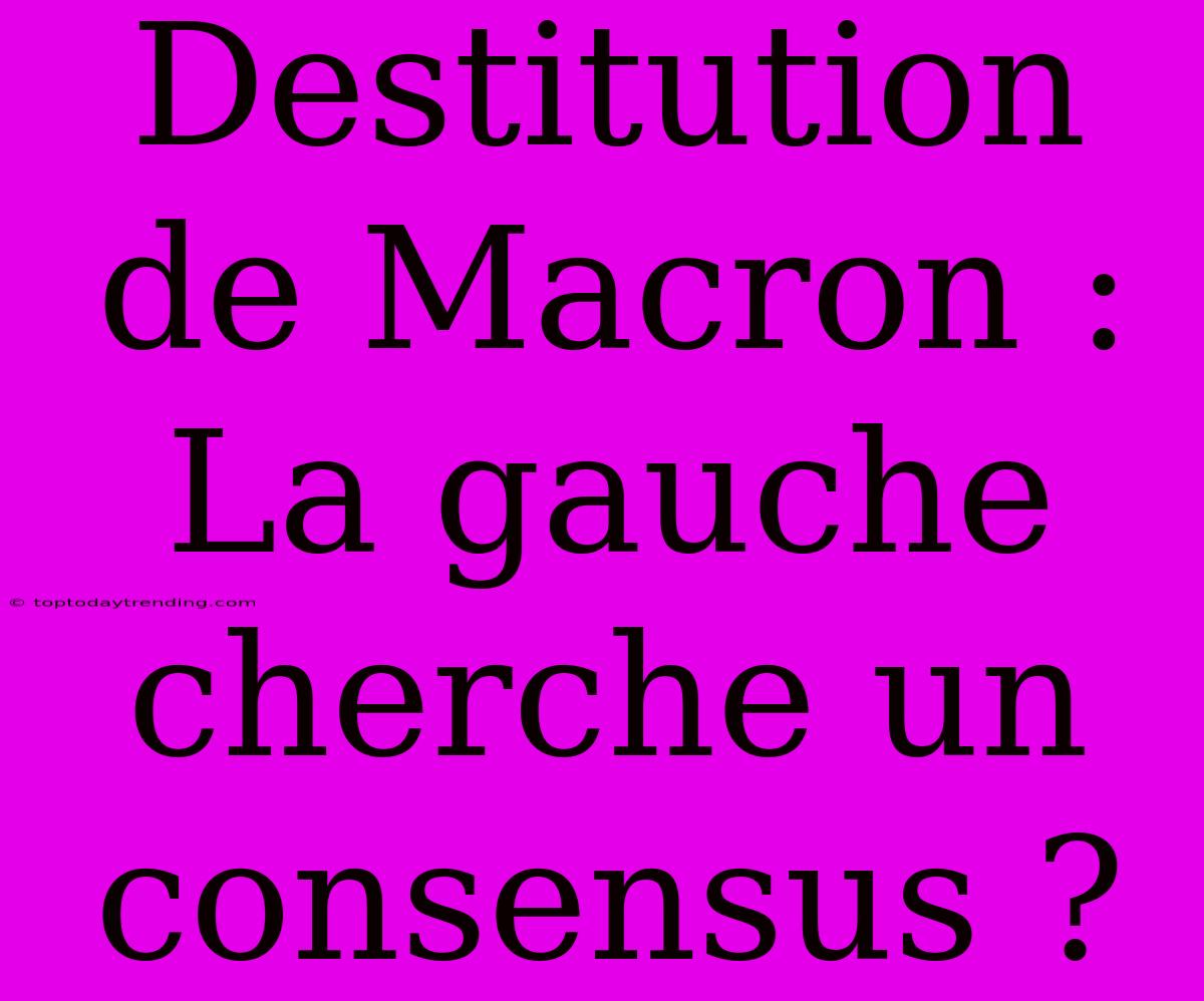 Destitution De Macron : La Gauche Cherche Un Consensus ?