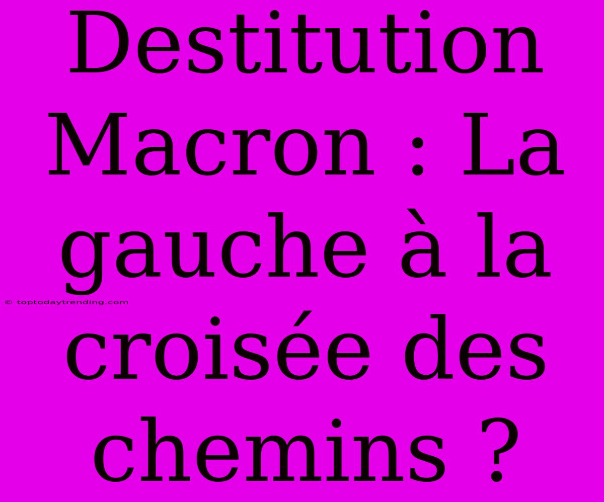 Destitution Macron : La Gauche À La Croisée Des Chemins ?