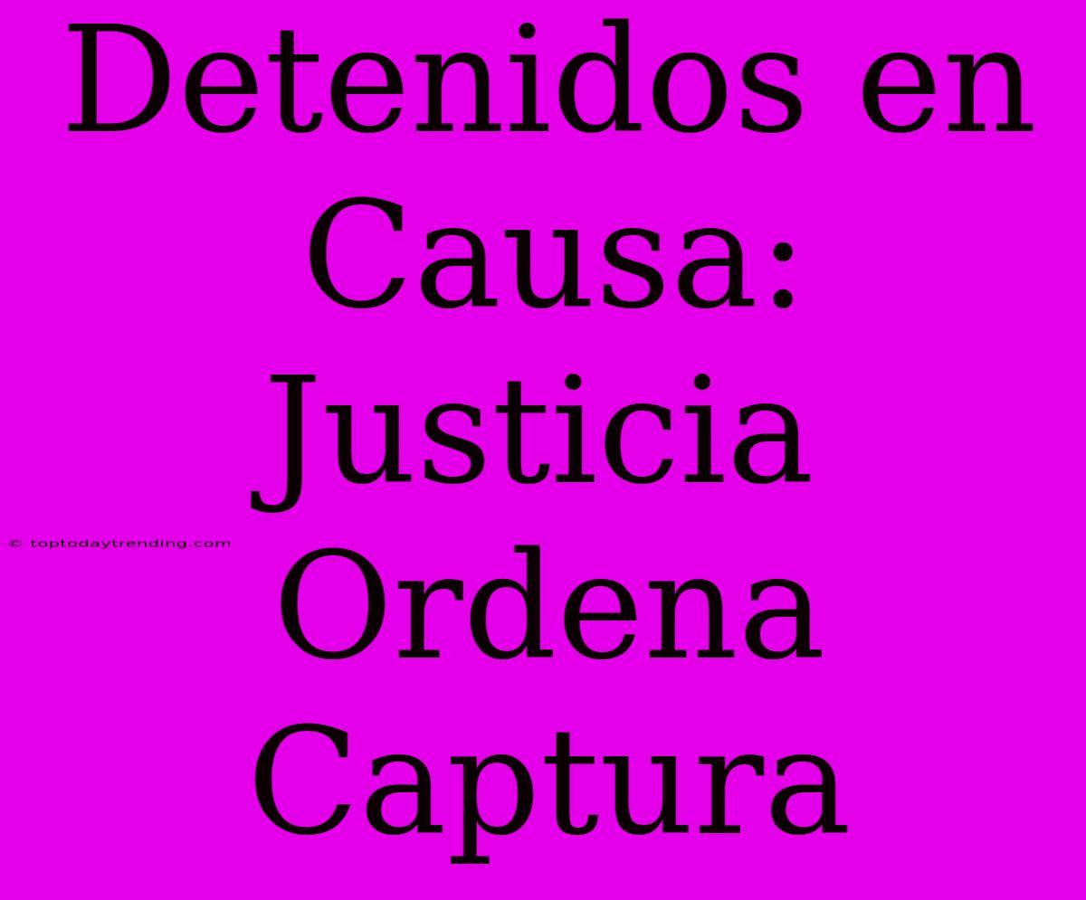 Detenidos En Causa: Justicia Ordena Captura