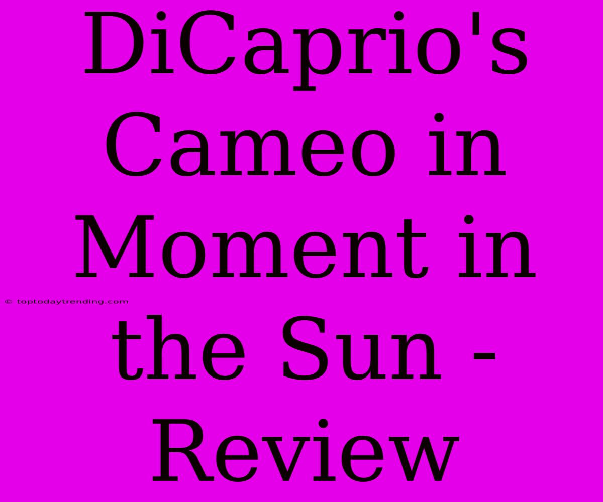 DiCaprio's Cameo In Moment In The Sun - Review