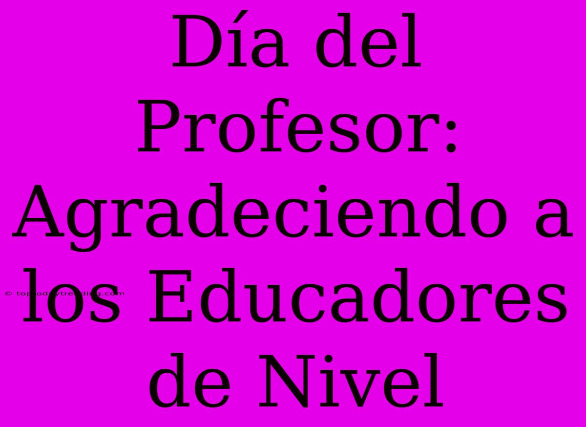 Día Del Profesor: Agradeciendo A Los Educadores De Nivel