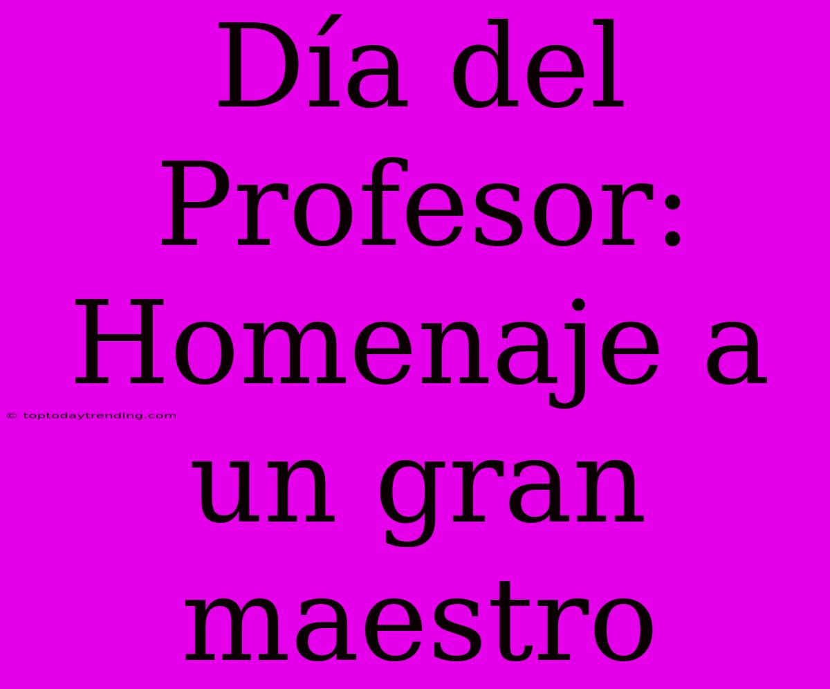 Día Del Profesor: Homenaje A Un Gran Maestro