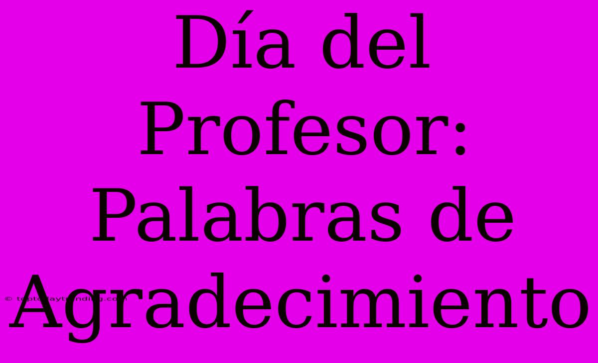 Día Del Profesor: Palabras De Agradecimiento