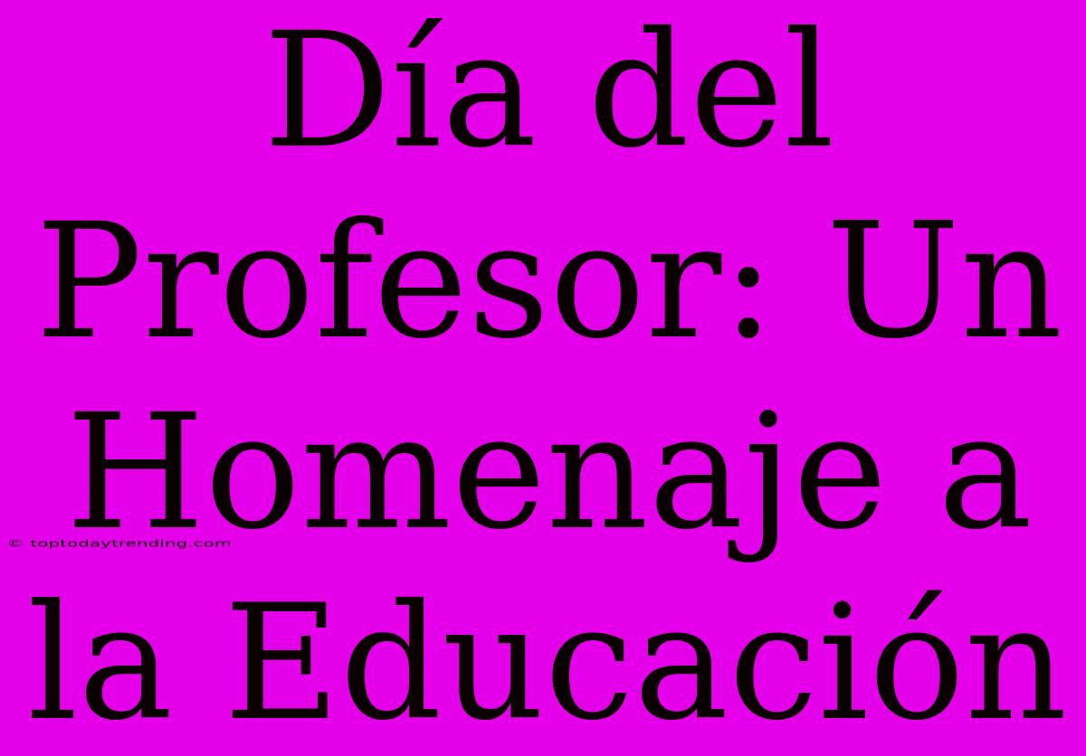 Día Del Profesor: Un Homenaje A La Educación