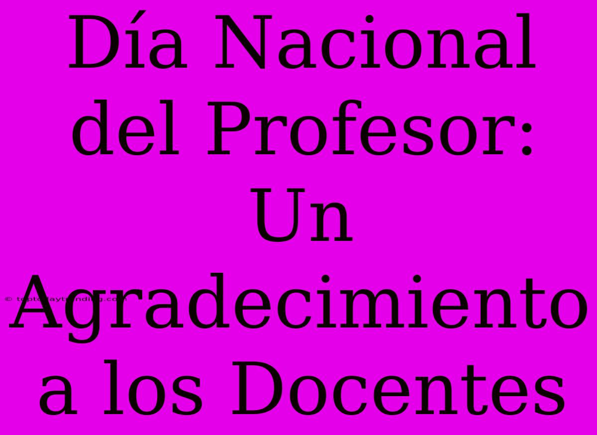 Día Nacional Del Profesor: Un Agradecimiento A Los Docentes