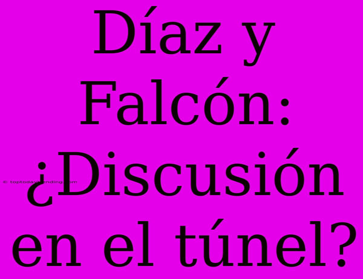 Díaz Y Falcón: ¿Discusión En El Túnel?