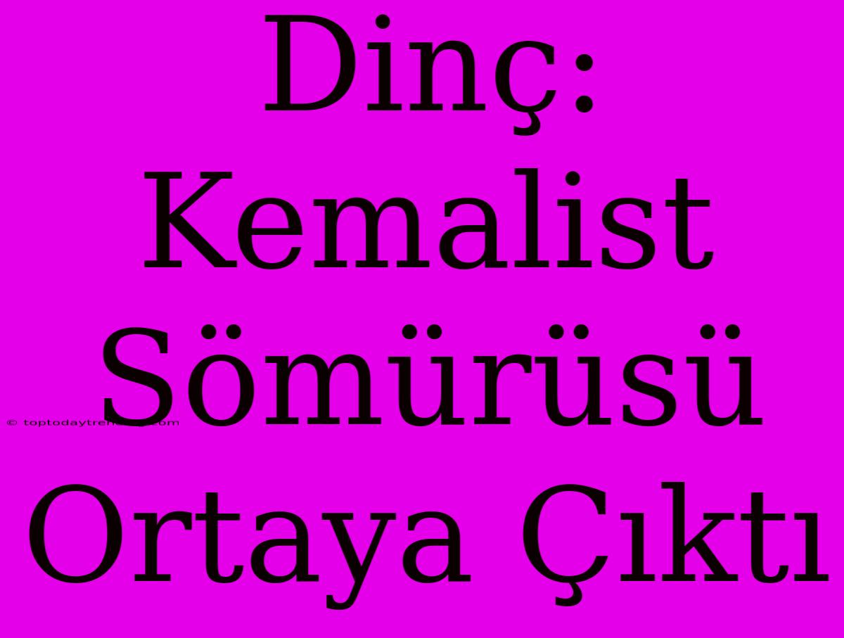 Dinç: Kemalist Sömürüsü Ortaya Çıktı