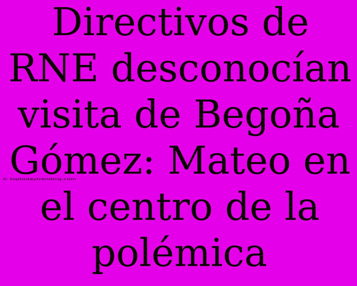 Directivos De RNE Desconocían Visita De Begoña Gómez: Mateo En El Centro De La Polémica