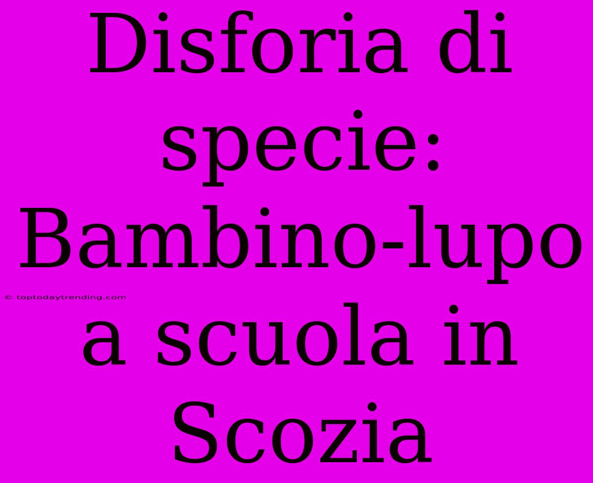 Disforia Di Specie: Bambino-lupo A Scuola In Scozia