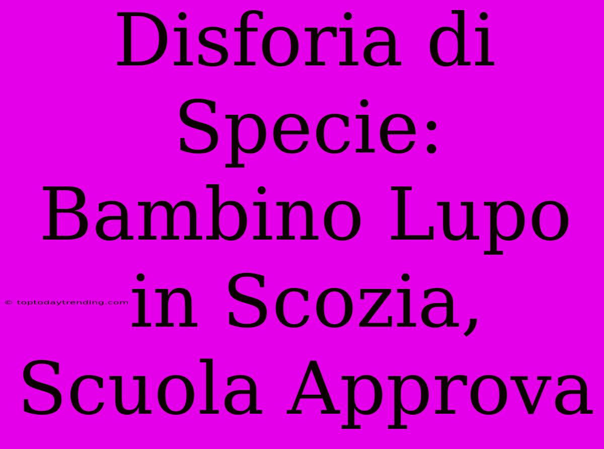 Disforia Di Specie: Bambino Lupo In Scozia, Scuola Approva