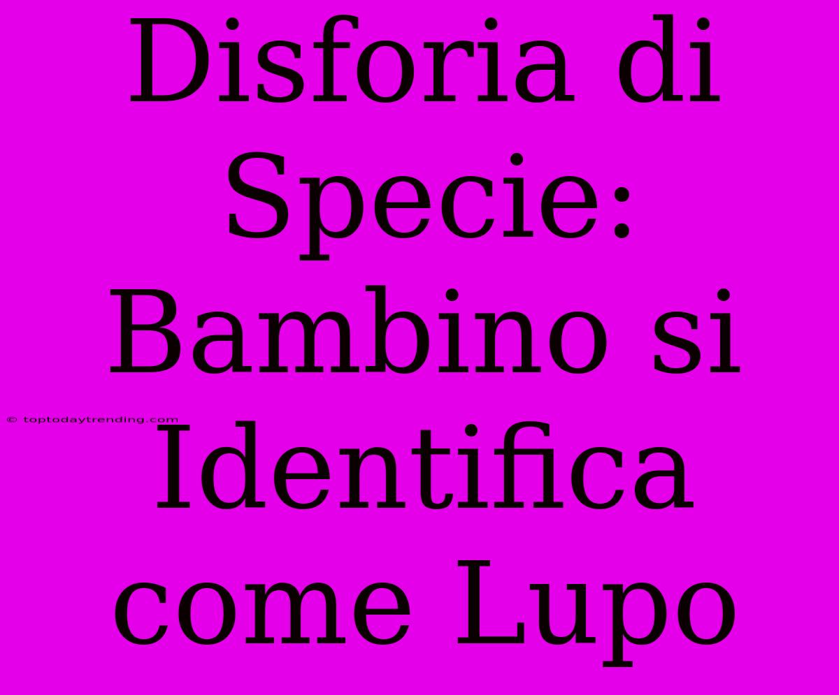 Disforia Di Specie: Bambino Si Identifica Come Lupo