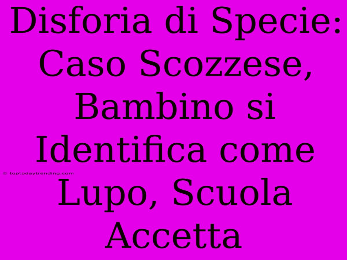 Disforia Di Specie: Caso Scozzese, Bambino Si Identifica Come Lupo, Scuola Accetta