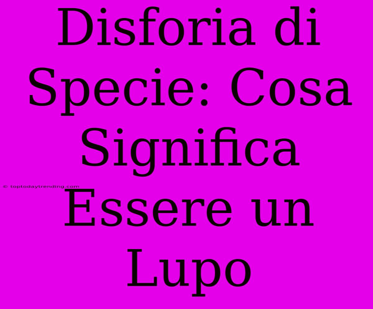 Disforia Di Specie: Cosa Significa Essere Un Lupo