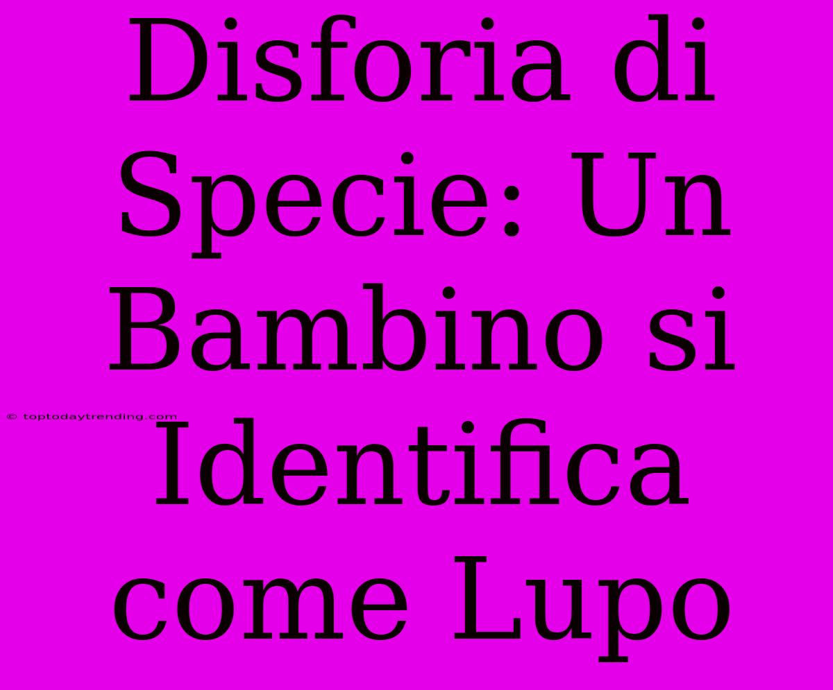 Disforia Di Specie: Un Bambino Si Identifica Come Lupo